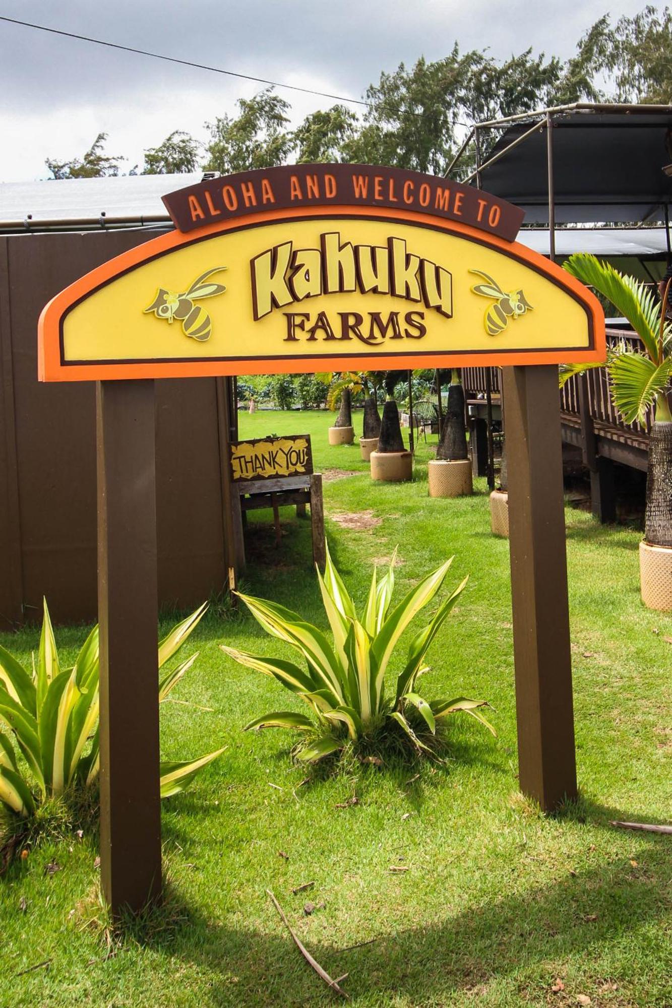 Naupaka Breeze Ocean View Ac 30 Day Stay Specials! Laie Esterno foto