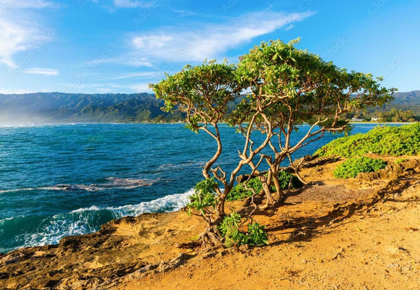 Naupaka Breeze Ocean View Ac 30 Day Stay Specials! Laie Esterno foto